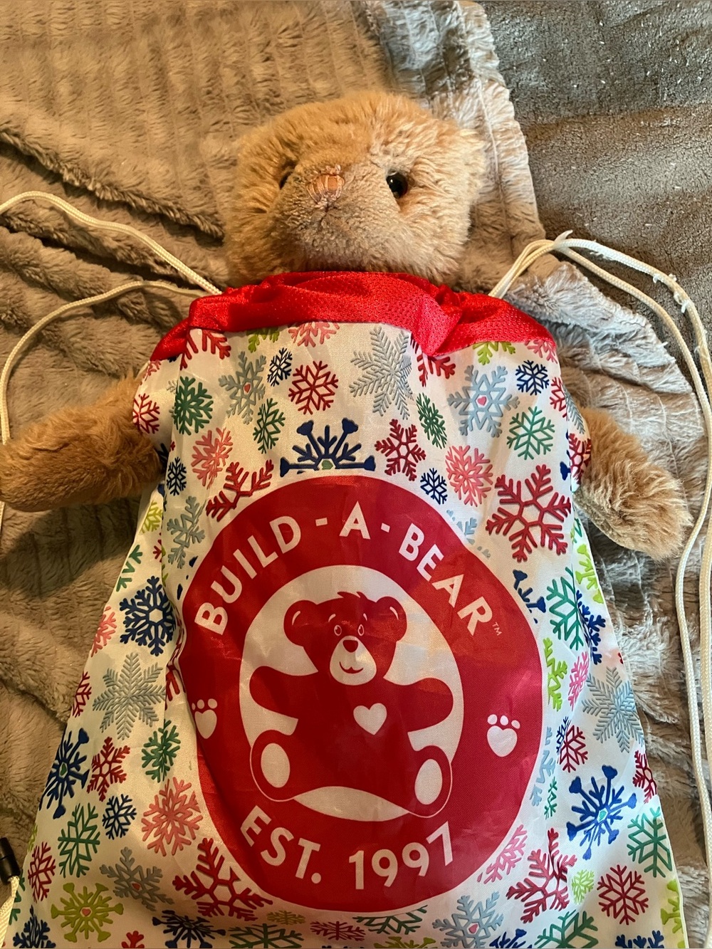 Build-a-bear Backpack - Picture 4 of 4